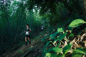 BIB: 
                            <button type="button" onclick="openModal(28124400)" class="btn btn-primary btn-sm float-right btn-popup" data-toggle="modal" data-target=".modal-high-quality">
                        <i class="fas fa-shopping-cart"></i> Add to Cart
                    </button>
                                            <button type="button" onclick="isThisMe(28124400, true)" class="btn btn-success btn-sm float-right btn-popup btn-isme hidden" data-toggle="tooltip" data-placement="bottom" title="นี่คือรูปของคุณใช่ไหม คลิกที่นี่เพื่อเอาเข้าอัลบั้ม">
                        <i class="fas fa-plus"></i> Add to album
                    </button>
                    <button type="button" onclick="isThisMe(28124400, false)" class="btn btn-warning btn-sm float-right btn-popup btn-isnotme hidden">
                        <i class="fas fa-ban"></i> Remove from album
                    </button>